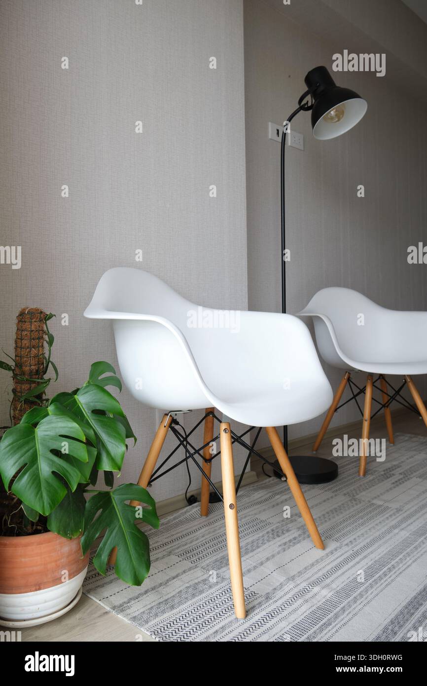 Moderne Stühle, Stehlampe und Monsterapflanze aus der Mitte des Jahrhunderts, die eine schlichte Inneneinrichtung verzieren Stockfoto