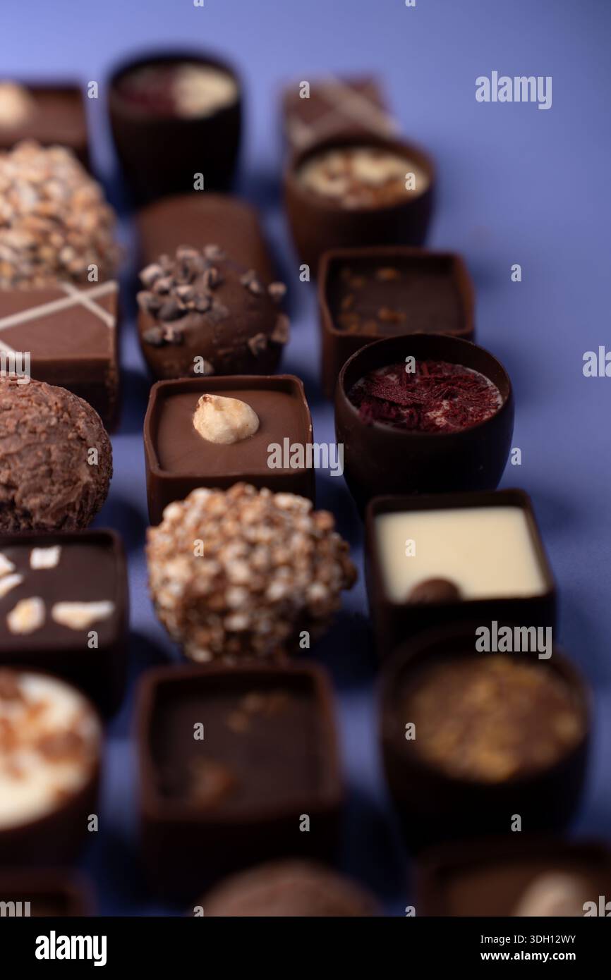 Makroaufnahme von verschiedenen Gourmet-Pralinen und Trüffeln, die in ordentlichen Reihen auf einer lila Oberfläche angeordnet sind und kräftige Brauntöne, vielfältige Texturen, Stockfoto