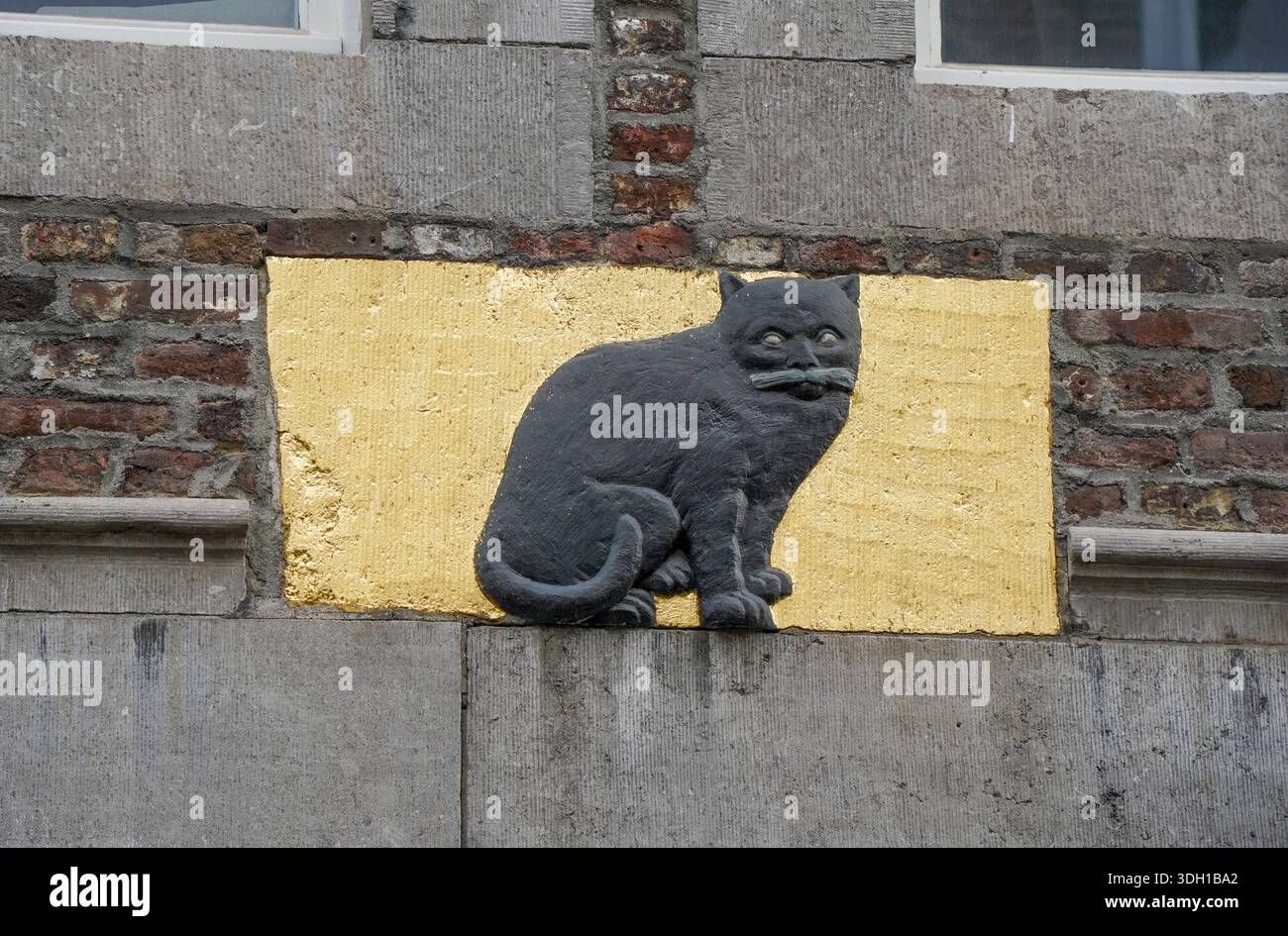 Historischer Giebelstein auf einer Gebäudefassade in Maastricht, eine skulpturale Darstellung einer Katze auf goldfarbenem Hintergrund, Niederlande. Stockfoto
