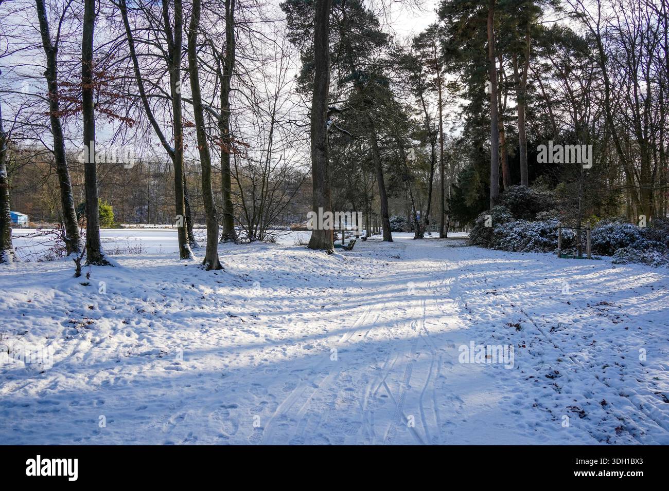 Waldweg Schutterspark Brunssum, im Winter mit Schnee bedeckt, Brunssum, Limburg, Niederlande. Stockfoto