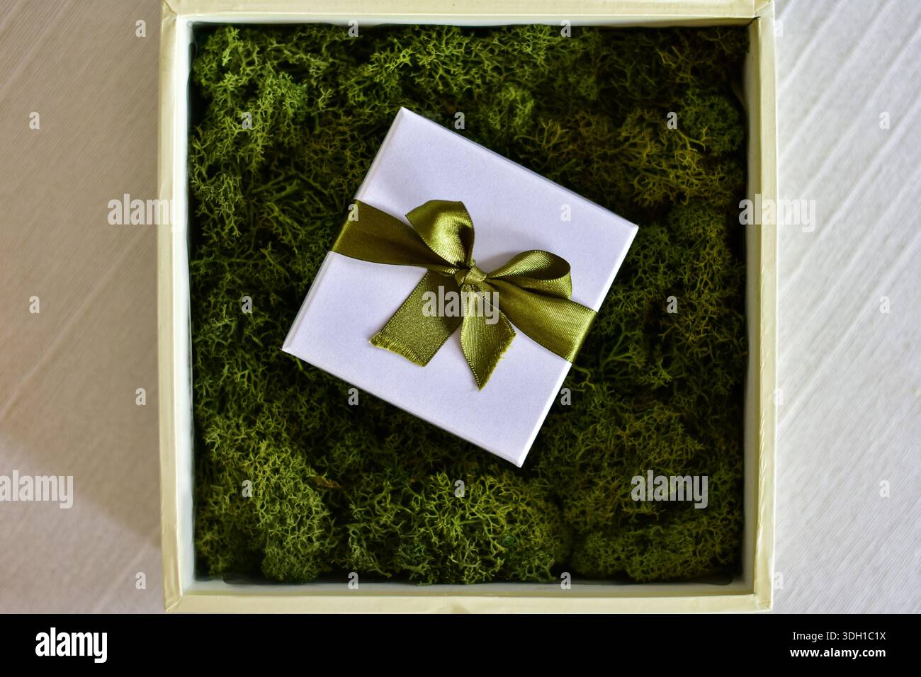 Moss Art Shadow Box Geschenkdisplay Stockfoto