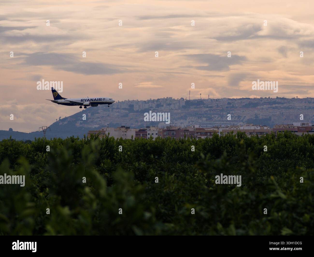Das Flugzeug landet auf einer Landebahn hinter der Obstbaumfarm Stockfoto