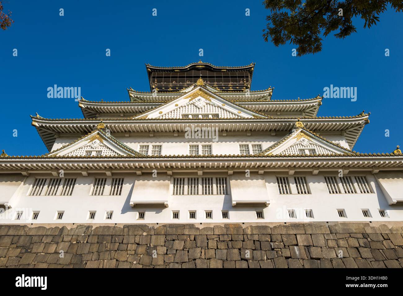 Osaka, Japan - 7. November 2023: Der Hauptturm der Burg Osaka ist aus einem niedrigen Winkel zu sehen und zeigt seine mehrstöckigen weißen Wände, Ziegeldächer mit goldenen Ornamenten und einen Steinfuß unter einem klaren blauen Himmel mit sichtbaren Ästen am oberen Rand. Stockfoto