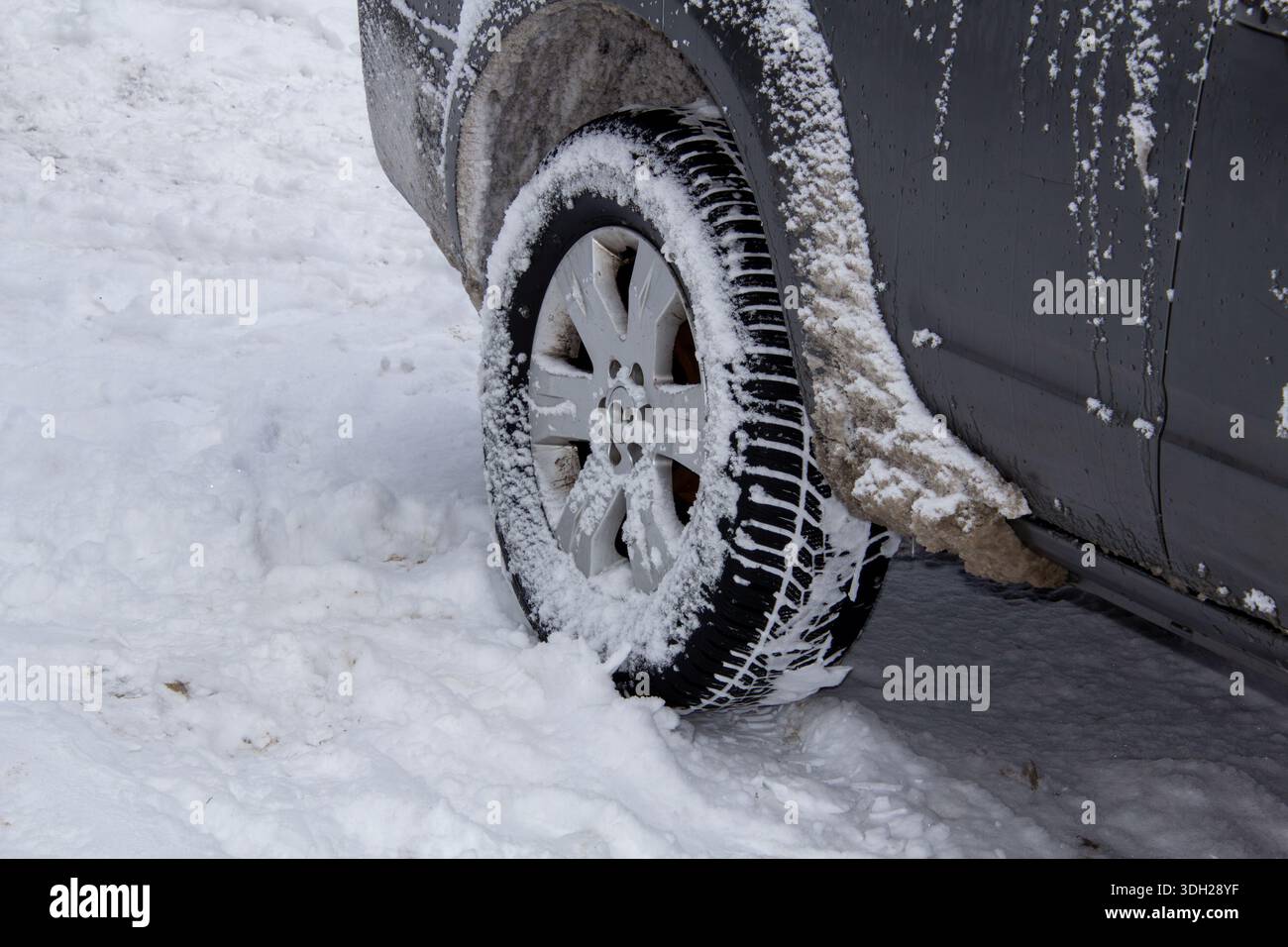 Streusalz um den Radlauf eines schneebedeckten Autos Stockfoto