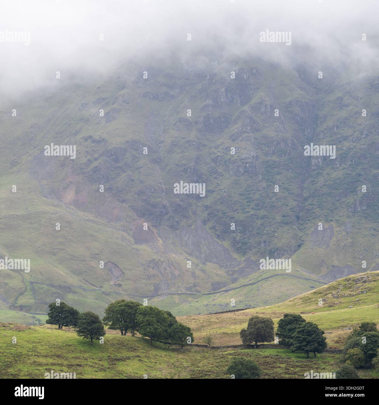 Der Clough Head Berg erhebt sich in die Wolken hinter dem Low Rigg Fell, wie man ihn von Castlerigg im englischen Lake District aus sehen kann. Stockfoto