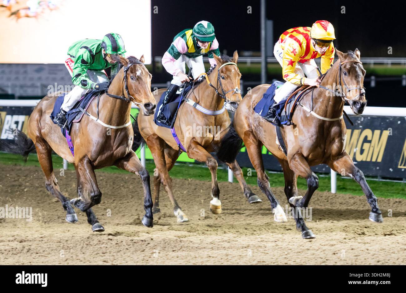 Wolverhampton, Großbritannien, Montag, den 19. Januar 2026; Al Baahy und Jockey Billy Loughnane gewinnen die Midnite, erhöhen die Wettspiele für Trainer Kevin Frost und Eigentümer Curzon House Partnership. Credit JTW equine Images / Alamy Live News. Stockfoto