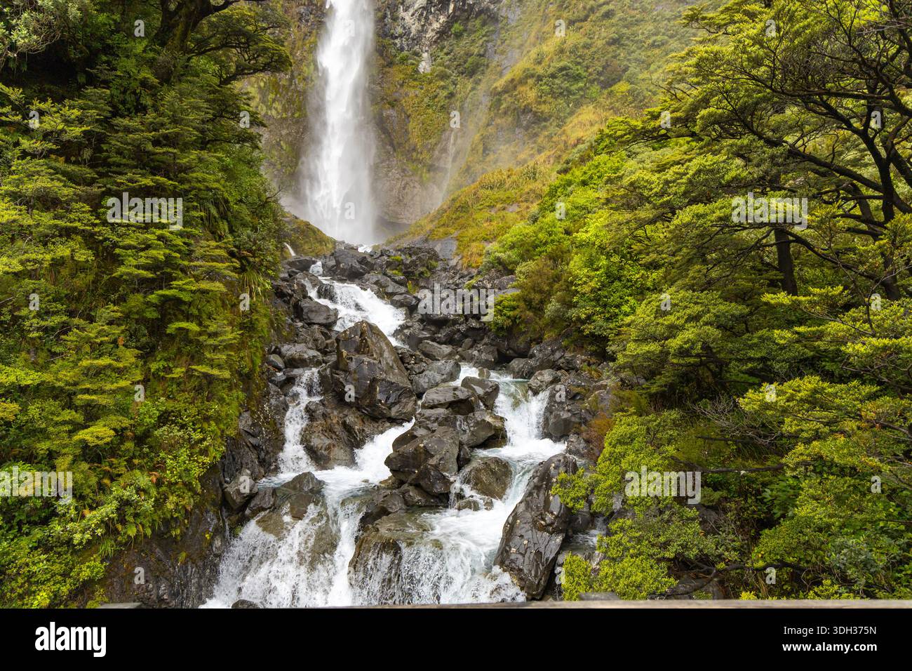Üppiger Waldwasserfall, Der Über Dunkle Felsen Fließt Stockfoto