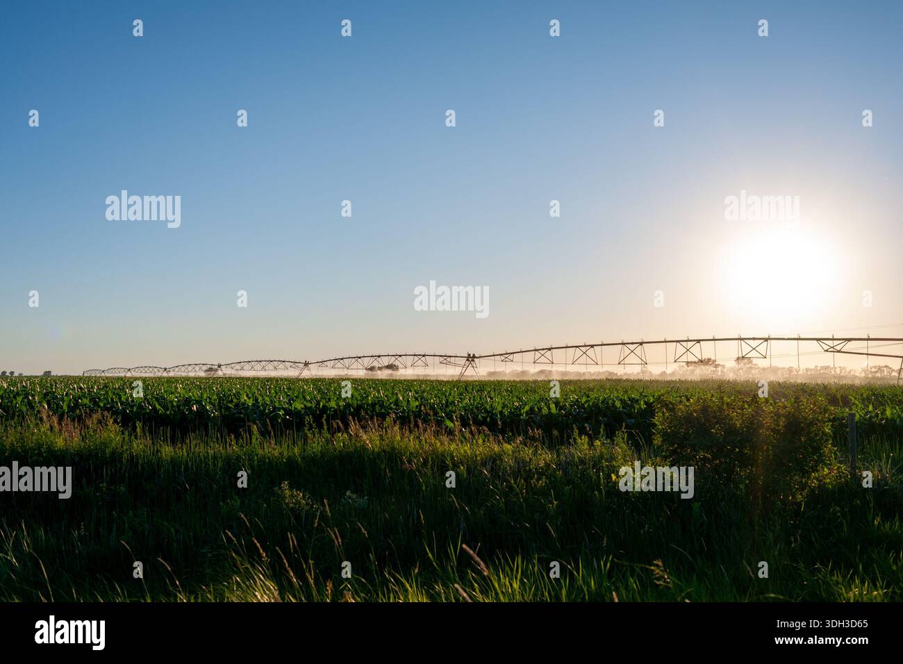 Zentrale Schwenksysteme oder Bewässerungssprinkler auf einem Bauernhof an der Grenze zu Minnesota und North Dakota Stockfoto