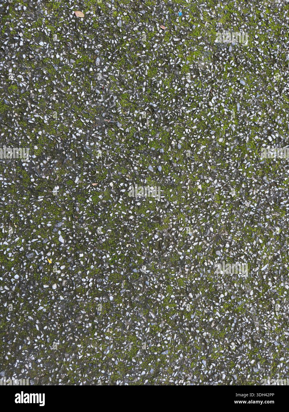 Asphalt und kleine Steinstruktur mit grünem Moos - Smartphone-aufgenommenes Stockfoto