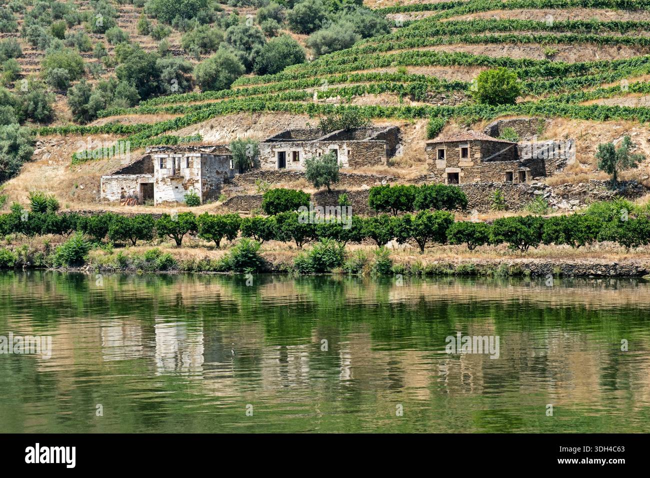 Eine Gruppe alter Steinhäuser, vielleicht ein ungenutztes Weingut oder ein Familienbetrieb, säumen die Ufer des Flusses Dour in Portugal mit Weinbergen dahinter auf dem hil Stockfoto