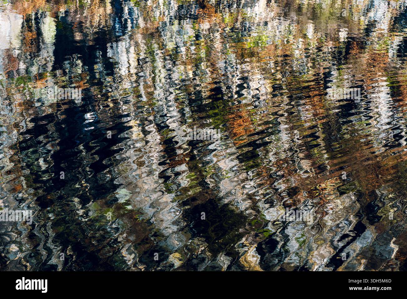 Abstrakte Wasserreflexion mit verzerrten Bäumen und bunten Mustern Stockfoto