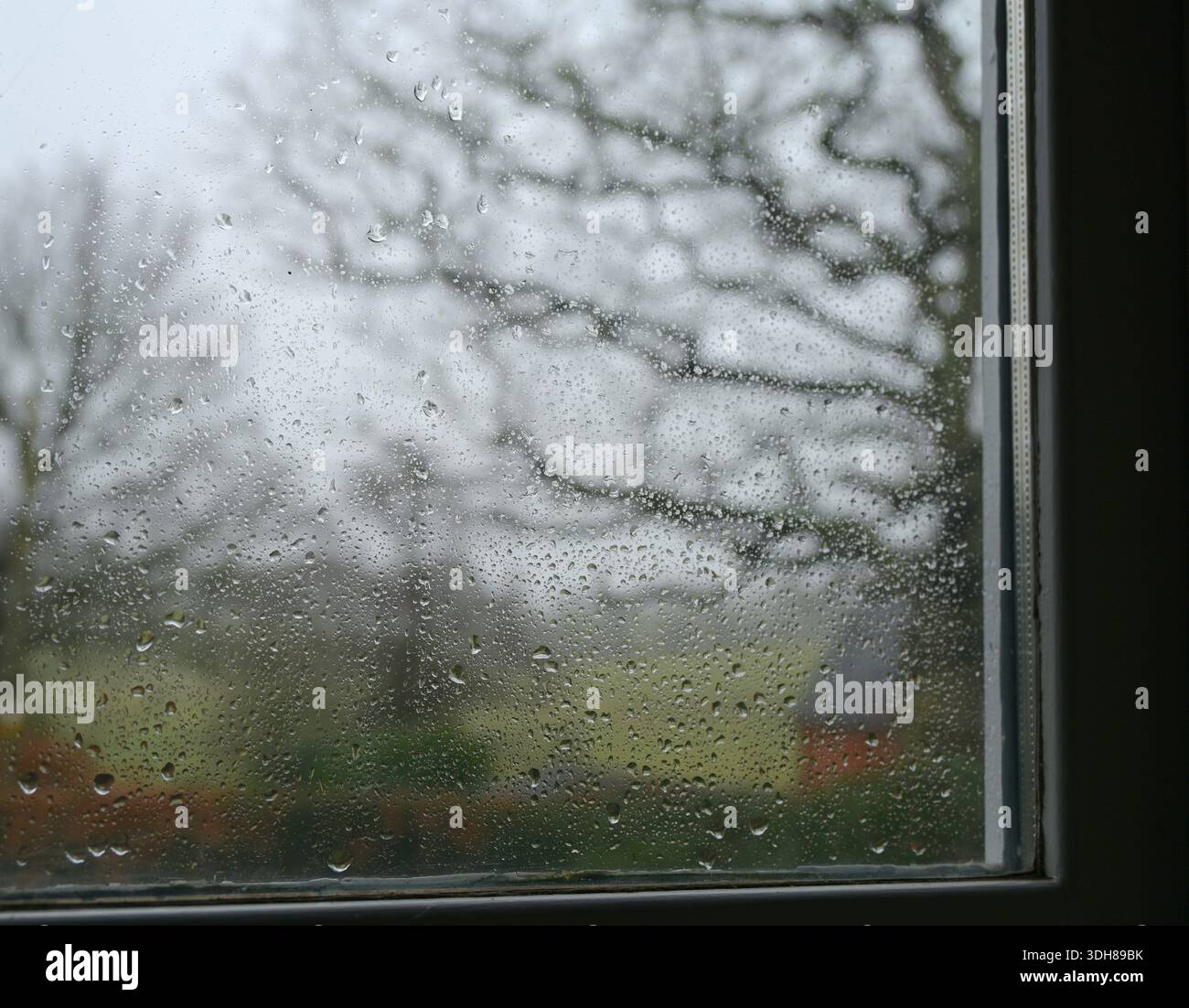 Fenster bedeckt mit Regentropfen und Bäumen in England an einem regnerischen Tag. Stockfoto