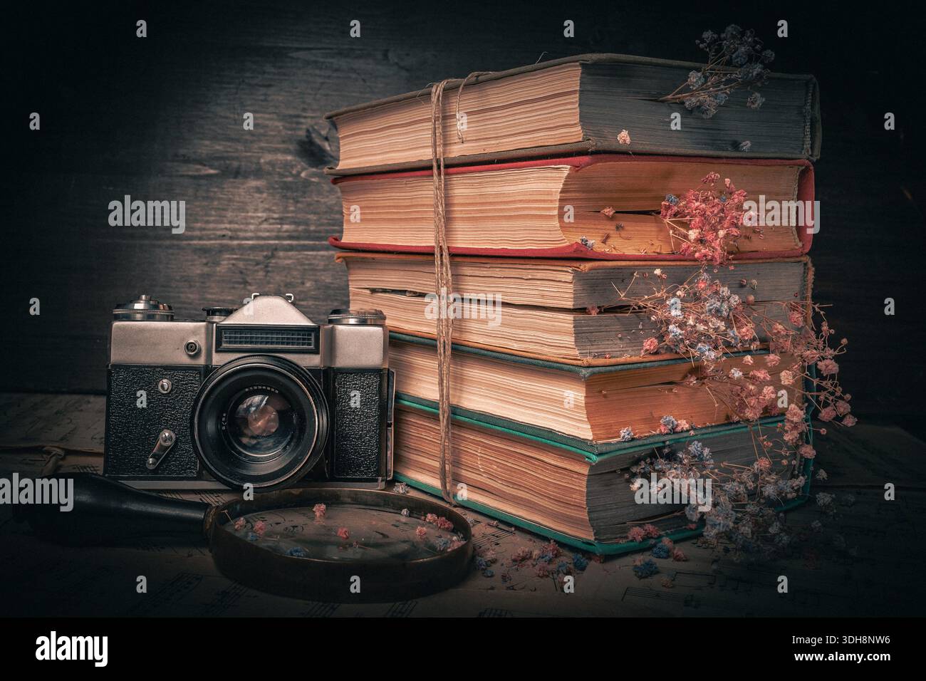 Alte Kamera in der Nähe von antikem Buch mit getrockneten Blumen zwischen den Seiten. Fotos im Vintage-Stil Stockfoto