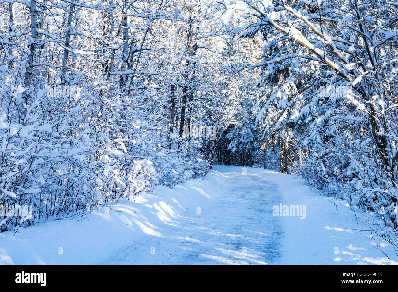Schneepflug im öffentlichen Park nach starkem Schneefall Stockfoto