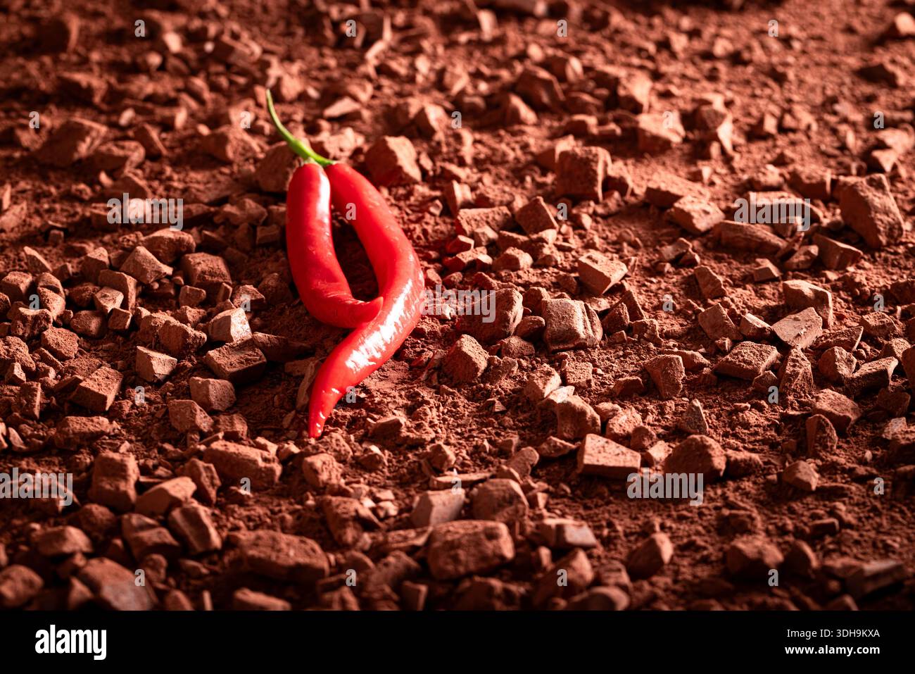 Heiße Chilischote als unscheinbare Kombination mit Schokolade. Heißer Pfeffer als Zutat in Schokolade. Stockfoto
