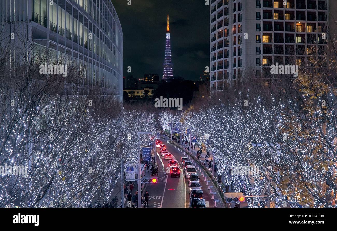 Tokio, Japan - 22. Dezember 2022: Blick auf den Tokyo Tower bei Nacht über eine Straße, die von Bäumen gesäumt ist, die mit weißen Lichtern bedeckt sind Stockfoto