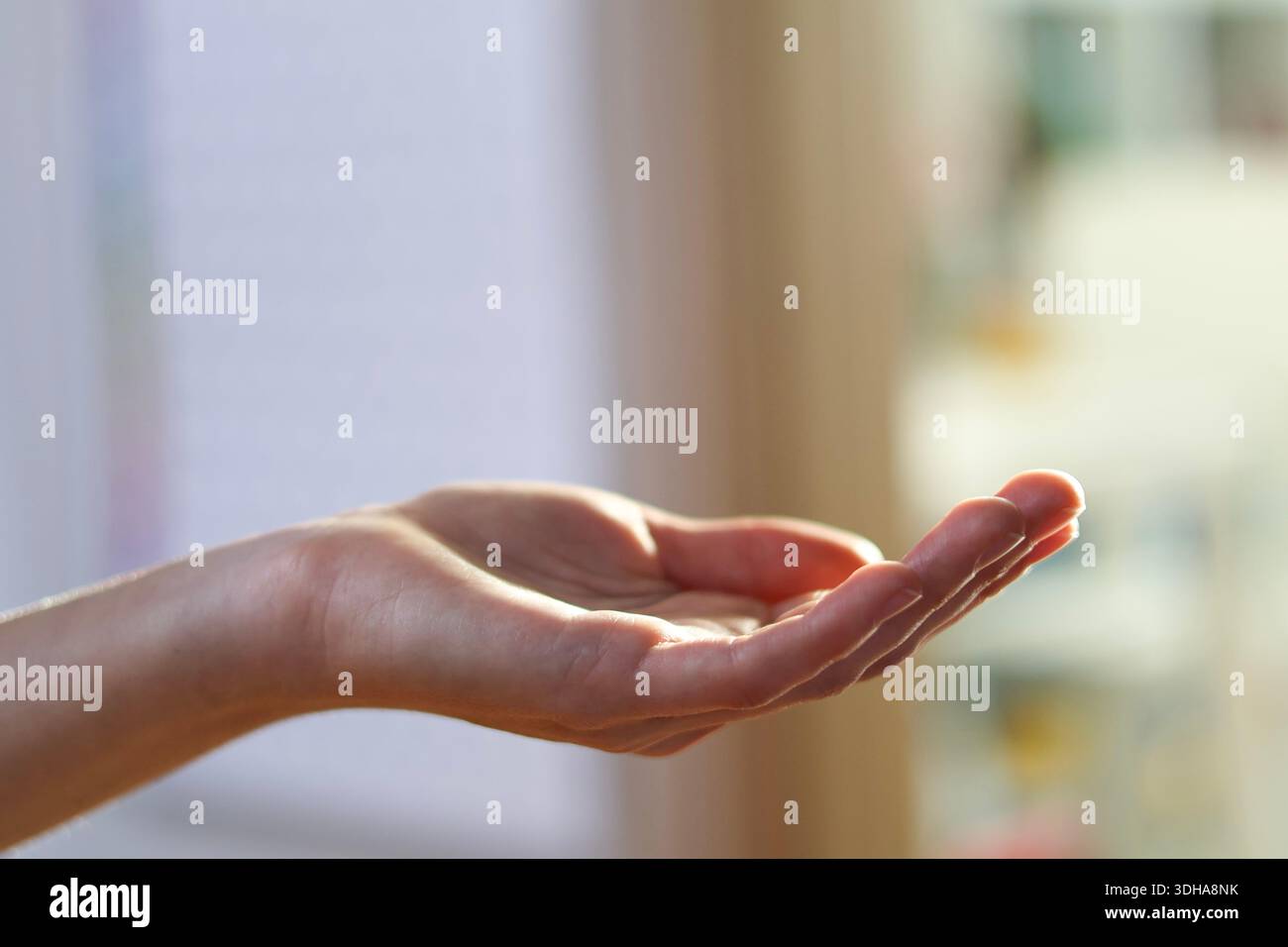 Sanfte menschliche Handgesten in sanftem natürlichem Licht Stockfoto