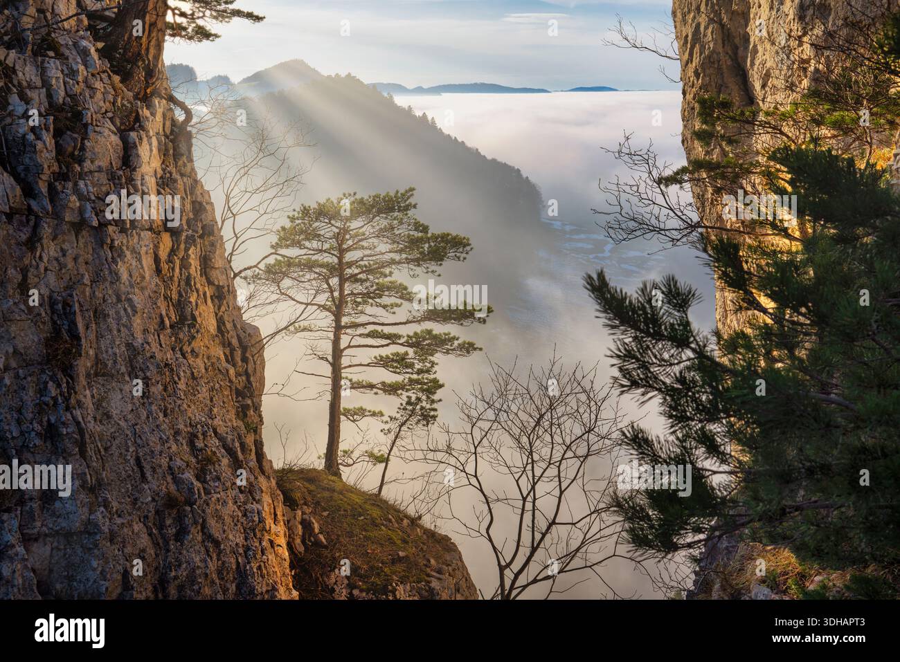 Schweiz, Schwarzbubenland, Zullwil, Meltingen, Nunningen, Solothurn, Herbstabend, Portiflue, Güggelhof Stockfoto
