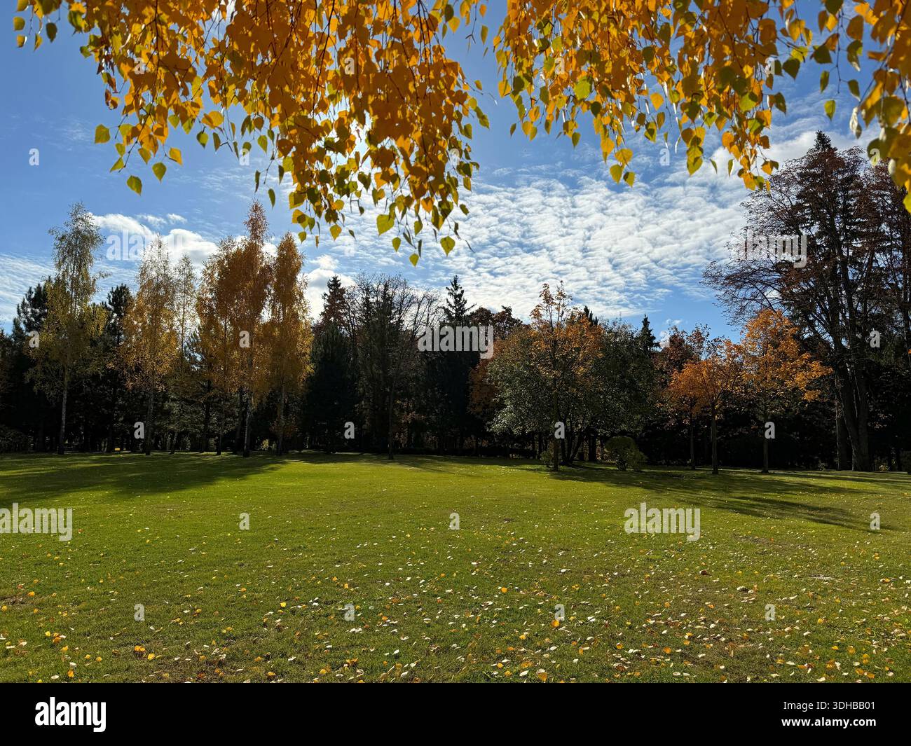 Herbst Park malerische Natur mit bunten Bäumen Stockfoto