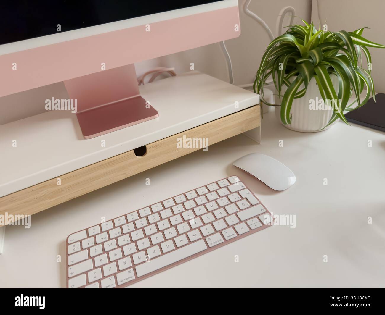 Foto eines aufgeräumten Arbeitsplatzes mit Computer, Zubehör und einer Topfpflanze auf dem Schreibtisch. Ideal für Büro, Fernarbeit, Produktivität und zu Hause Stockfoto