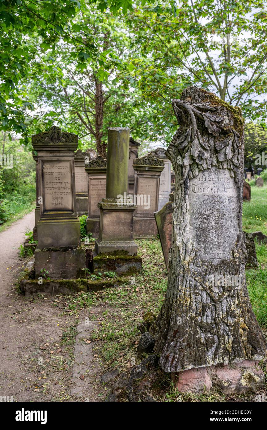Der jüdische Friedhof oder Heiliger Sand in Worms, Rheinland-Pfalz, Deutschland. 2021 in die Liste des UNESCO-Weltkulturerbes aufgenommen Stockfoto