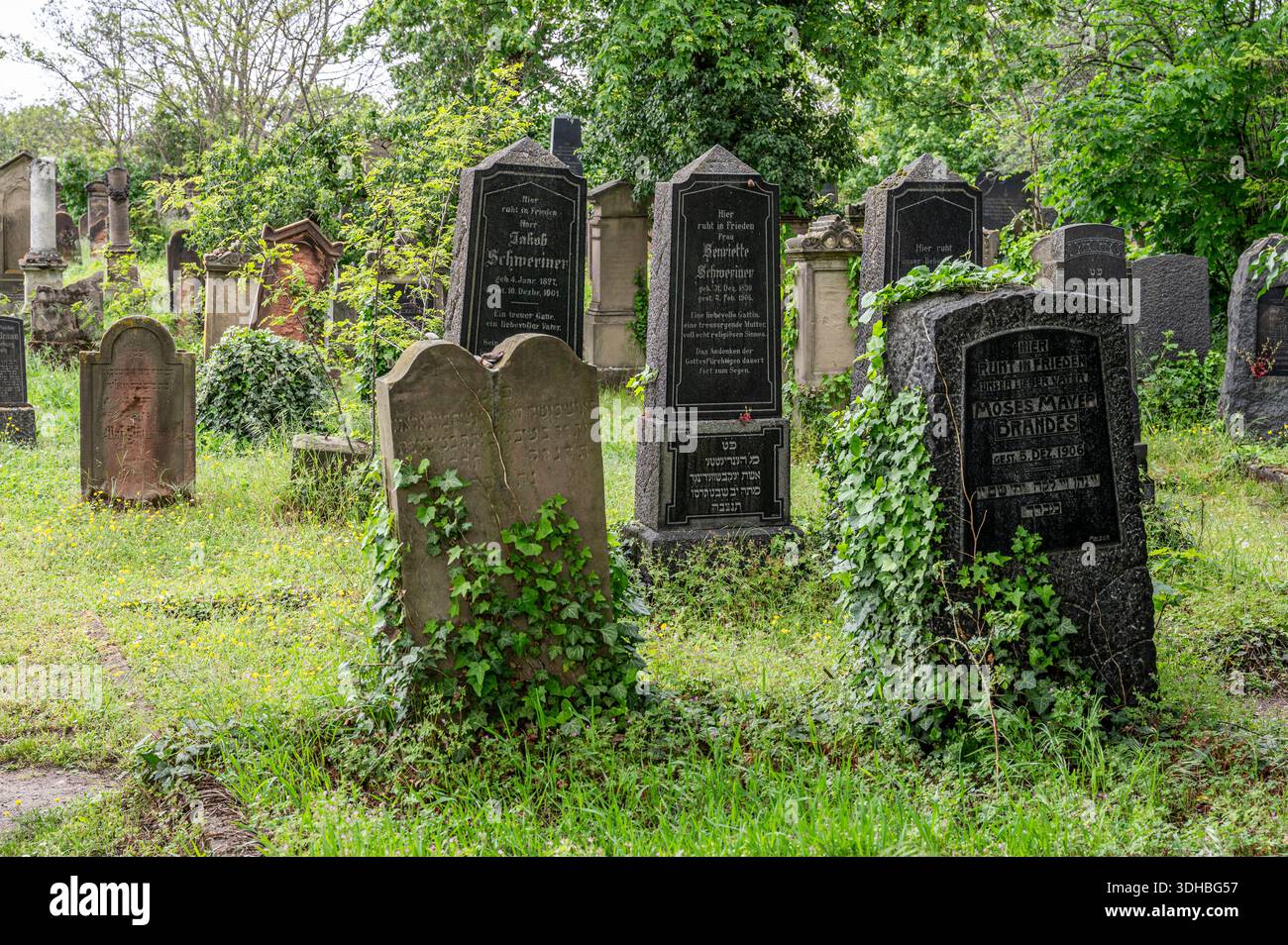 Der jüdische Friedhof oder Heiliger Sand in Worms, Rheinland-Pfalz, Deutschland. 2021 in die Liste des UNESCO-Weltkulturerbes aufgenommen Stockfoto