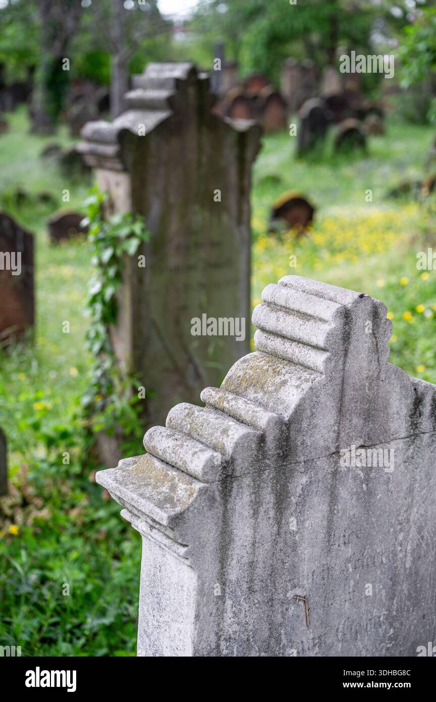 Der jüdische Friedhof oder Heiliger Sand in Worms, Rheinland-Pfalz, Deutschland. 2021 in die Liste des UNESCO-Weltkulturerbes aufgenommen Stockfoto