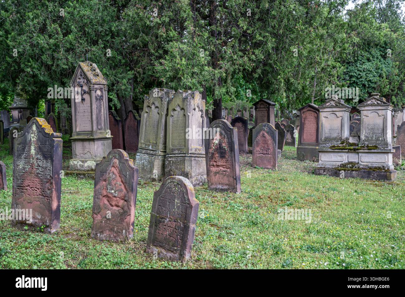 Der jüdische Friedhof oder Heiliger Sand in Worms, Rheinland-Pfalz, Deutschland. 2021 in die Liste des UNESCO-Weltkulturerbes aufgenommen Stockfoto