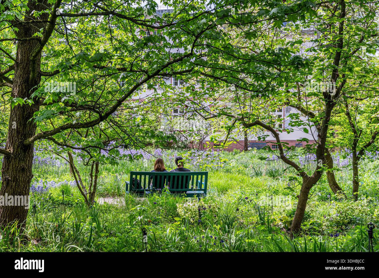 Paare genießen im Frühling die Hermannshofgärten Weinheim. Deutschland Stockfoto