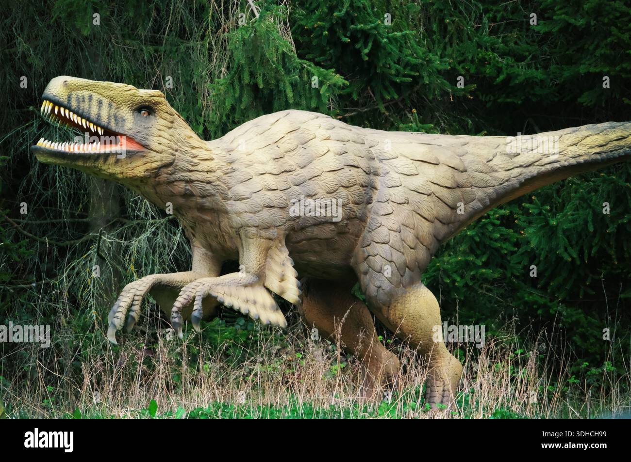 Das Dakotaraptor Dinosaur Model wurde im Jurassic Park im Hoo Zoo und Dinosaur World, Preston on the Weald Moors, Telford, Shropshire UK TF6 6DJ gezeigt Stockfoto