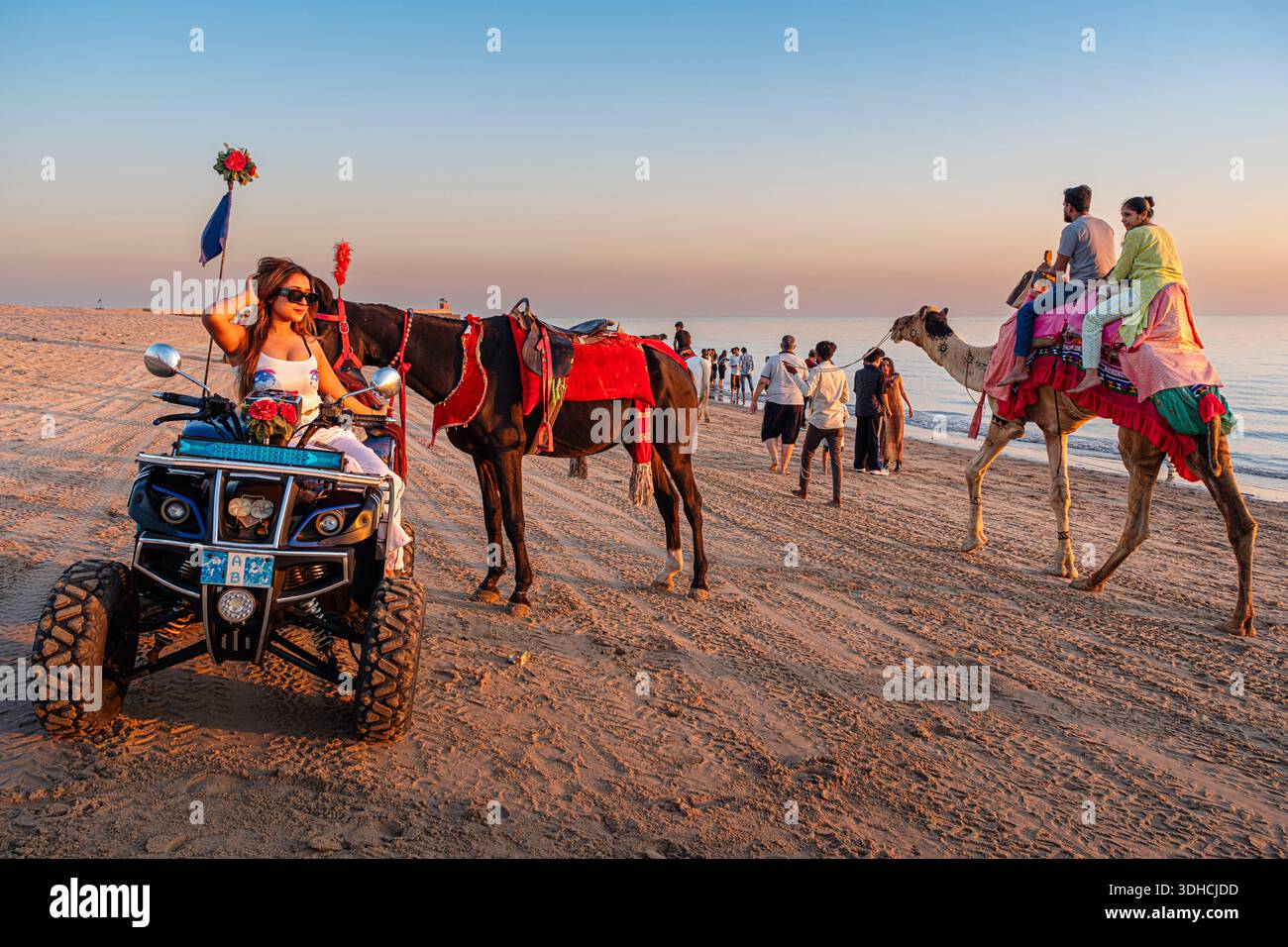 Indien, Bundesstaat Gujarat, Region Kutch, Mandvi, Quad-Fahrt am Strand von Mandvi Stockfoto