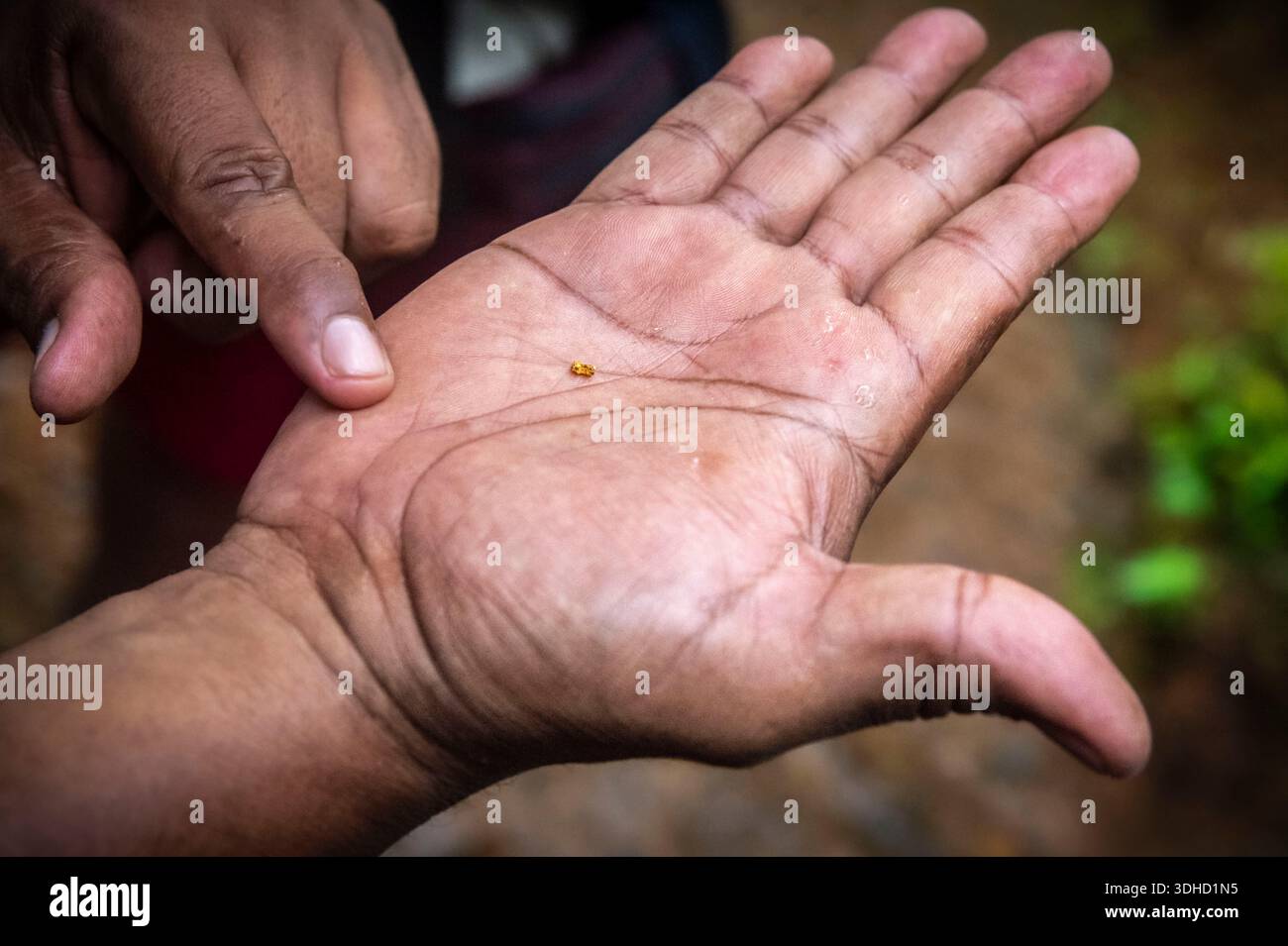Costa Rica, Provinz Puntarenas, Halbinsel Osa, Rancho Quemado, Juan CUBILLO setzt die traditionellen Praktiken lokaler Goldsucher fort, um diese Bräuche und Traditionen an die Besucher weiterzugeben. Stockfoto