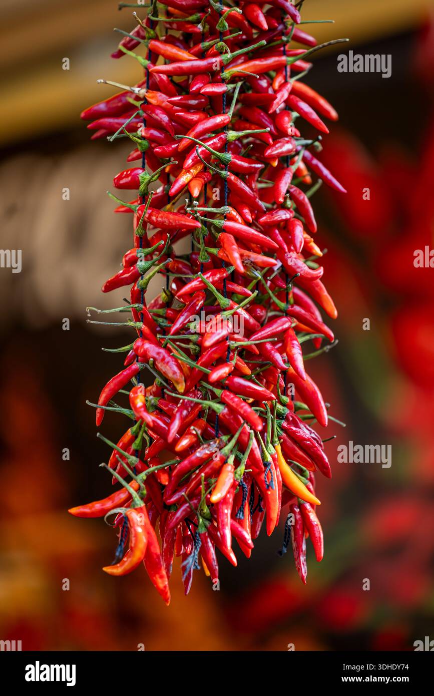 Rote Cayenne-Chilischoten zur Dekoration Stockfoto