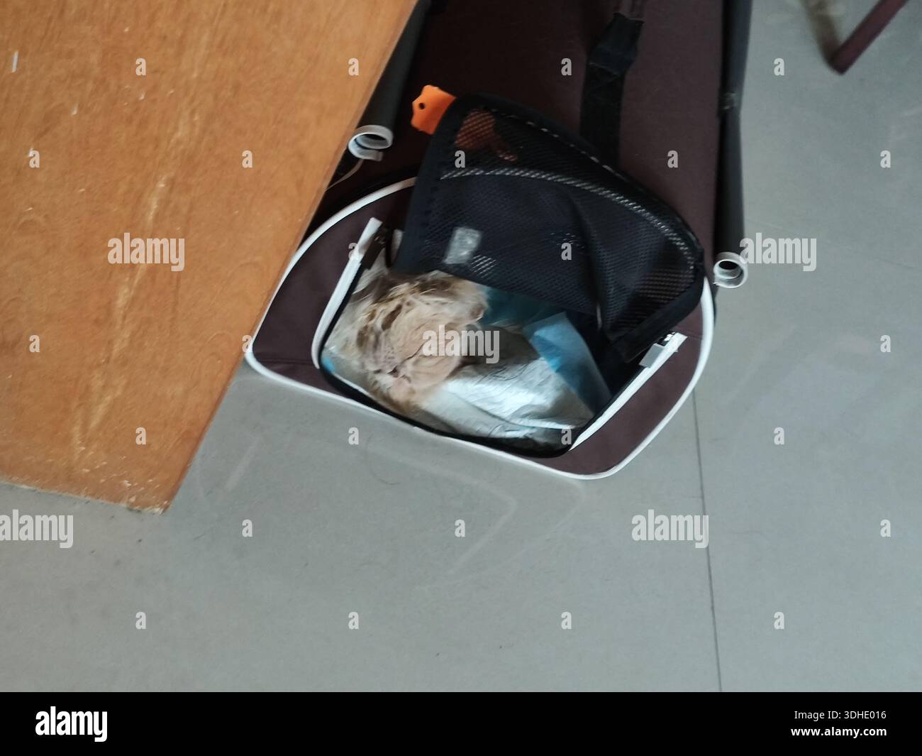 Die Katze liegt in einer Haustier-Tragetasche auf dem Boden Stockfoto