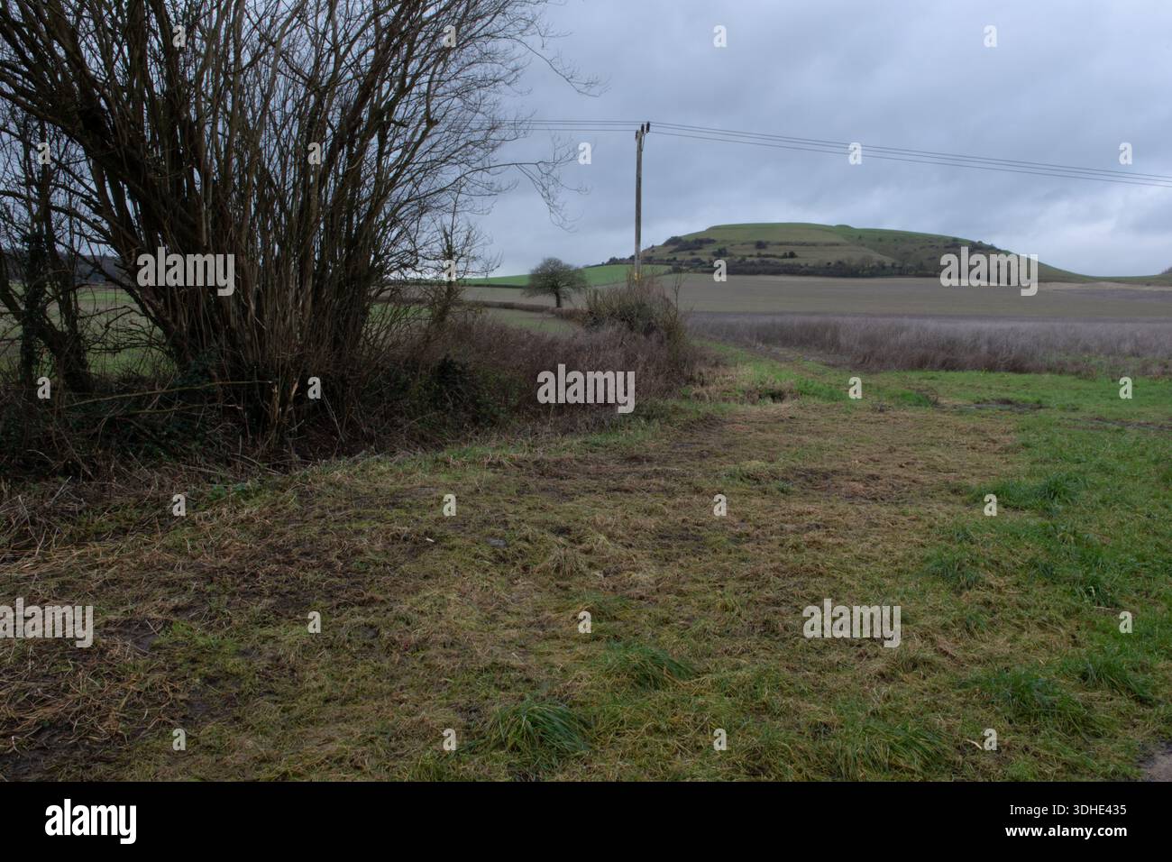 Cley Hill, Wiltshire, England Stockfoto