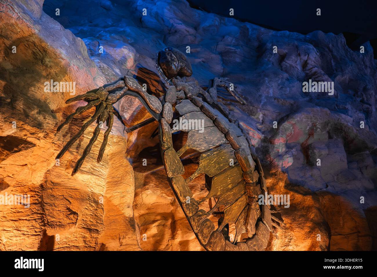Riesige fossile Arthropoden-Ausstellung mit bernsteinfarbener und blauer Beleuchtung Stockfoto