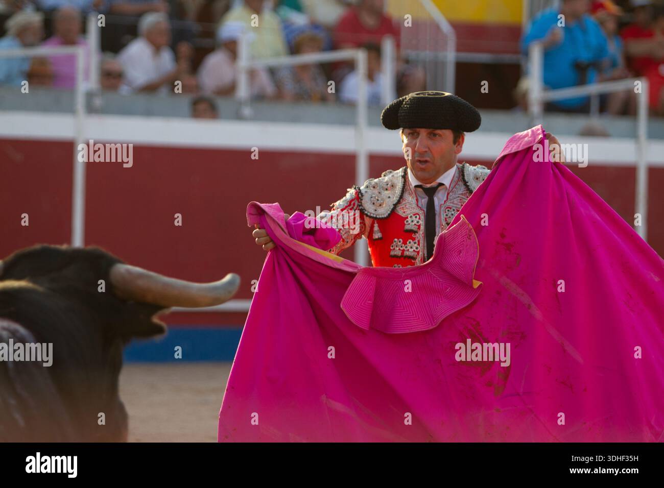 Ein Bulle nähert sich dem kap während eines Stierkampfes in Spanien am 15. Juni 2014. Stockfoto