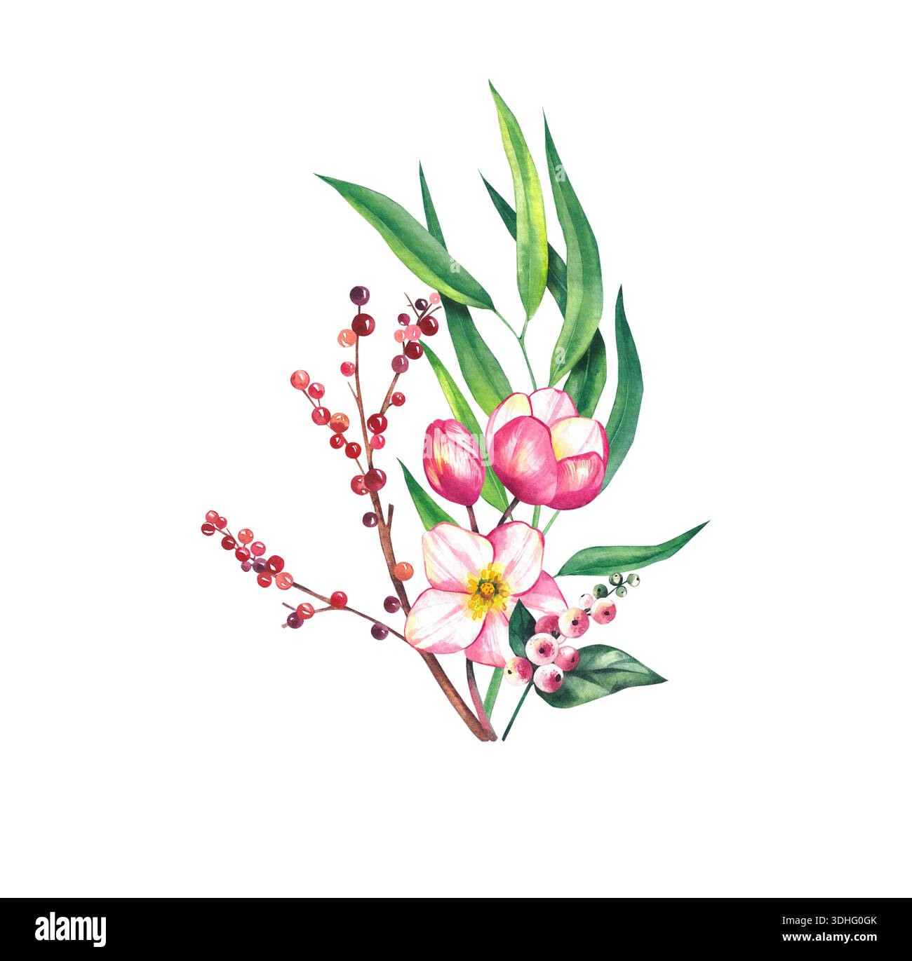 Weihnachtsstrau mit Blttern und Blumen. Amaryllis, stechpalme,  Kiefernnadeln, amelia und Weihnachtsstern sind isolierte Elemente des Sets.  Aquarell Christm Stockfotografie - Alamy