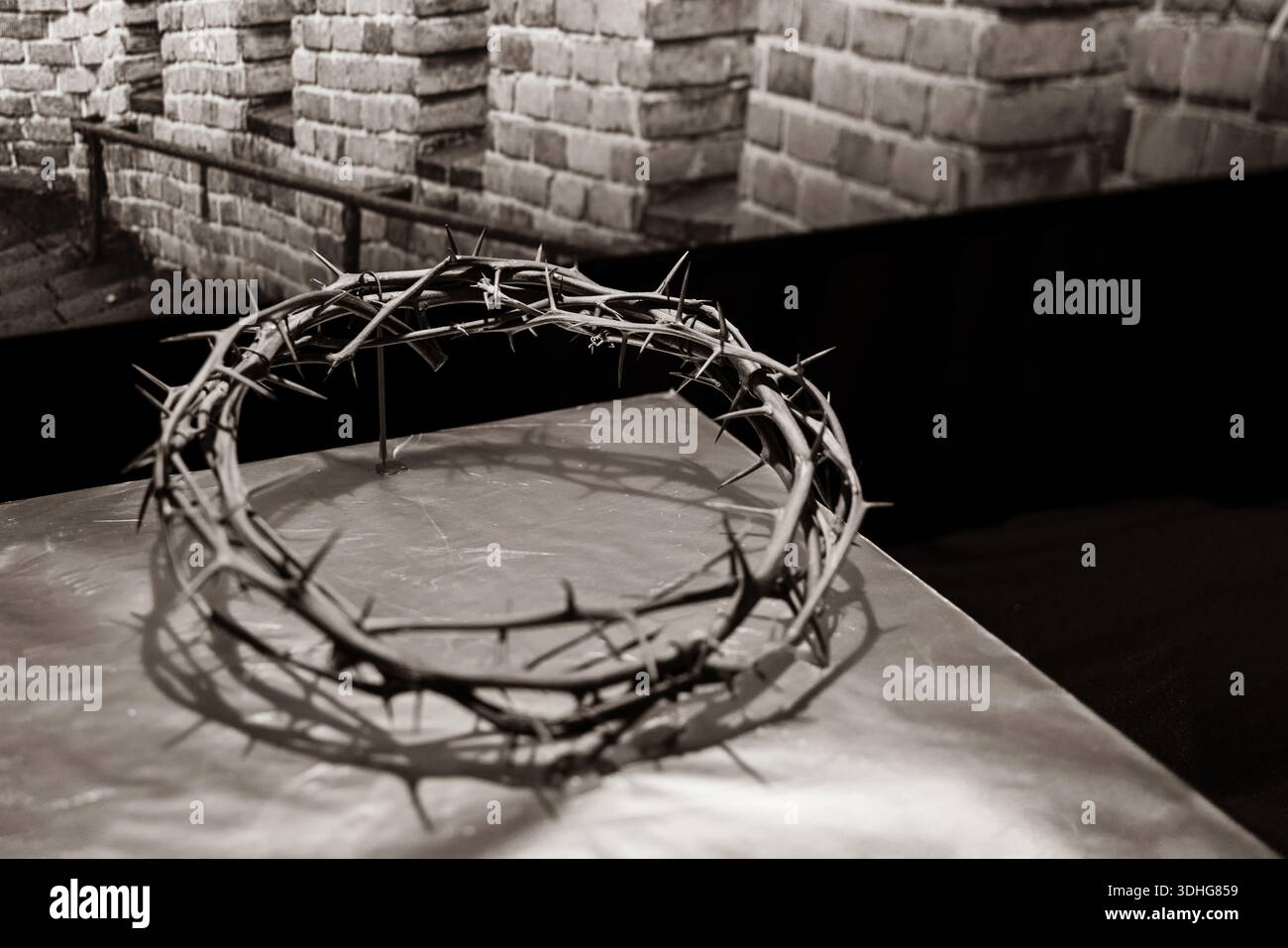Dornenkrone in monochromer Schwarz-weiß. Stockfoto