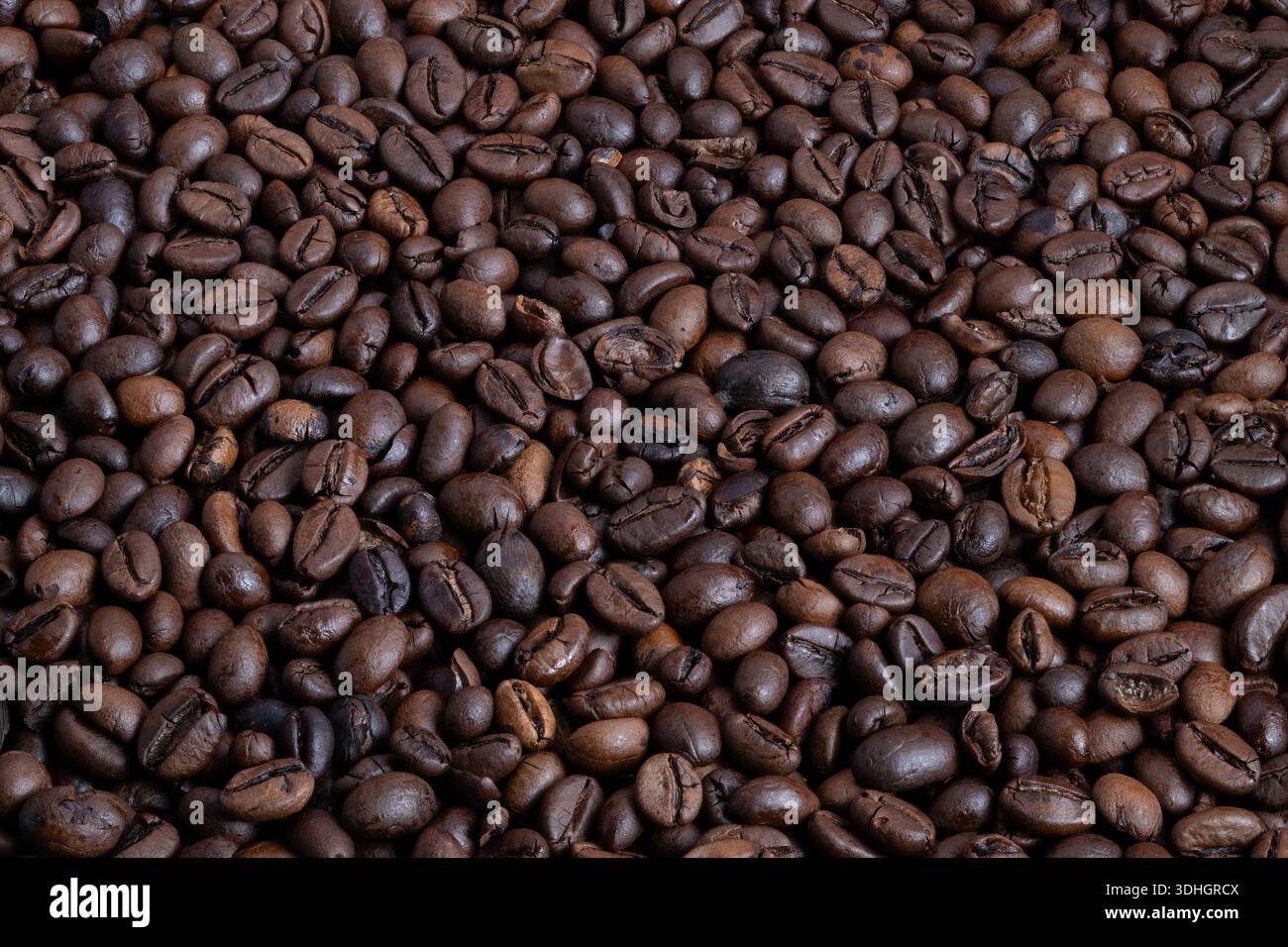 Fairtrade-zertifizierte mittelgeröstete Kaffeebohnen mit erdem Finish, umweltfreundliche Verpackung enthält ethisch hergestellte mittelgeröstete Kaffeebohnen mit Matte Stockfoto
