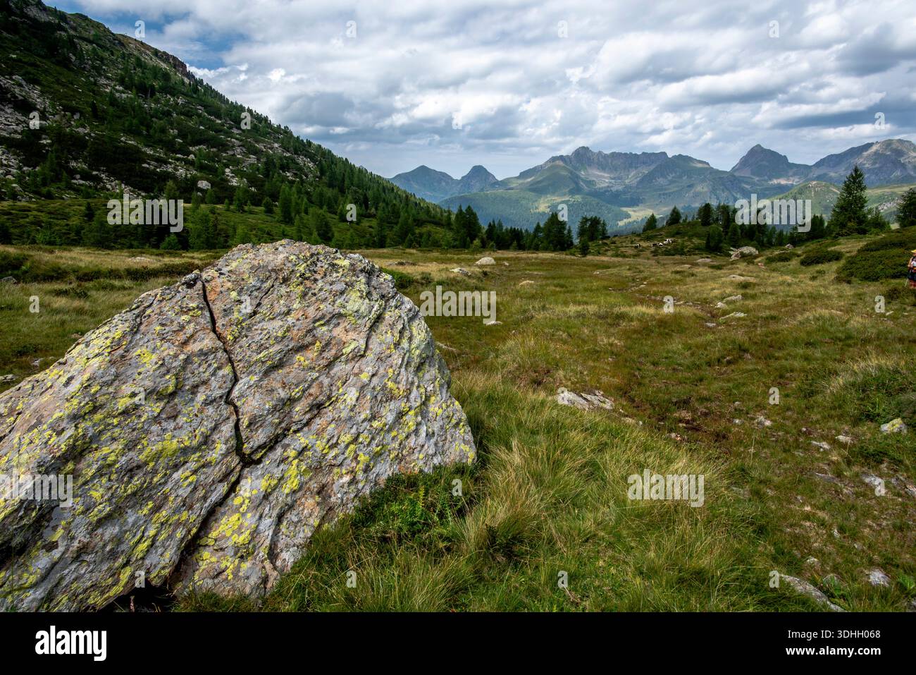 Kleiner Alpenbach in den Lagorai-Bergen im Trentino, Italien, der zwischen Felsen und Grasland unter zerklüfteten Gipfeln fließt. Stockfoto