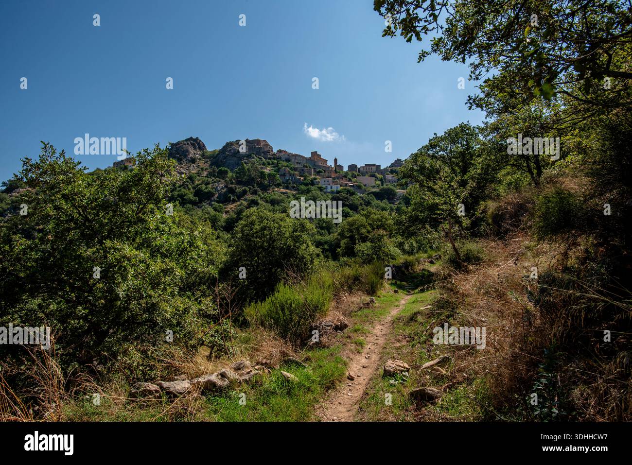 Schmaler Wanderweg führt durch mediterrane Vegetation zu einem historischen Bergdorf in Korsika, Region Corse, Frankreich. Sonnendurchflutete Landschaftsausdrücke Stockfoto