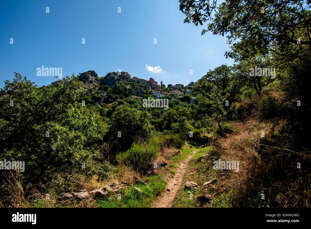 Malerischer Fußweg durch mediterrane Wälder mit einem Dorf auf einem Hügel in der Ferne, Korsika, Corse, Frankreich. Eine ruhige, natürliche Umgebung, ideal für Conce Stockfoto