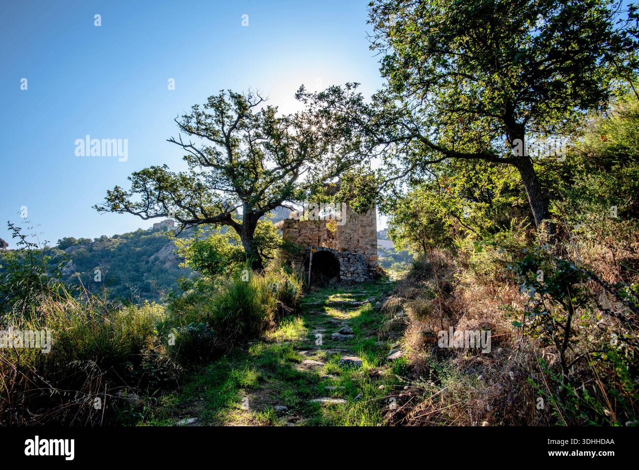 Hinterleuchtete Eichen säumen eine historische Steinkapelle entlang eines ruhigen Waldweges in der Nähe von Corte, Korsika, Frankreich. Eine ruhige mediterrane Szene, die balan ausdrückt Stockfoto