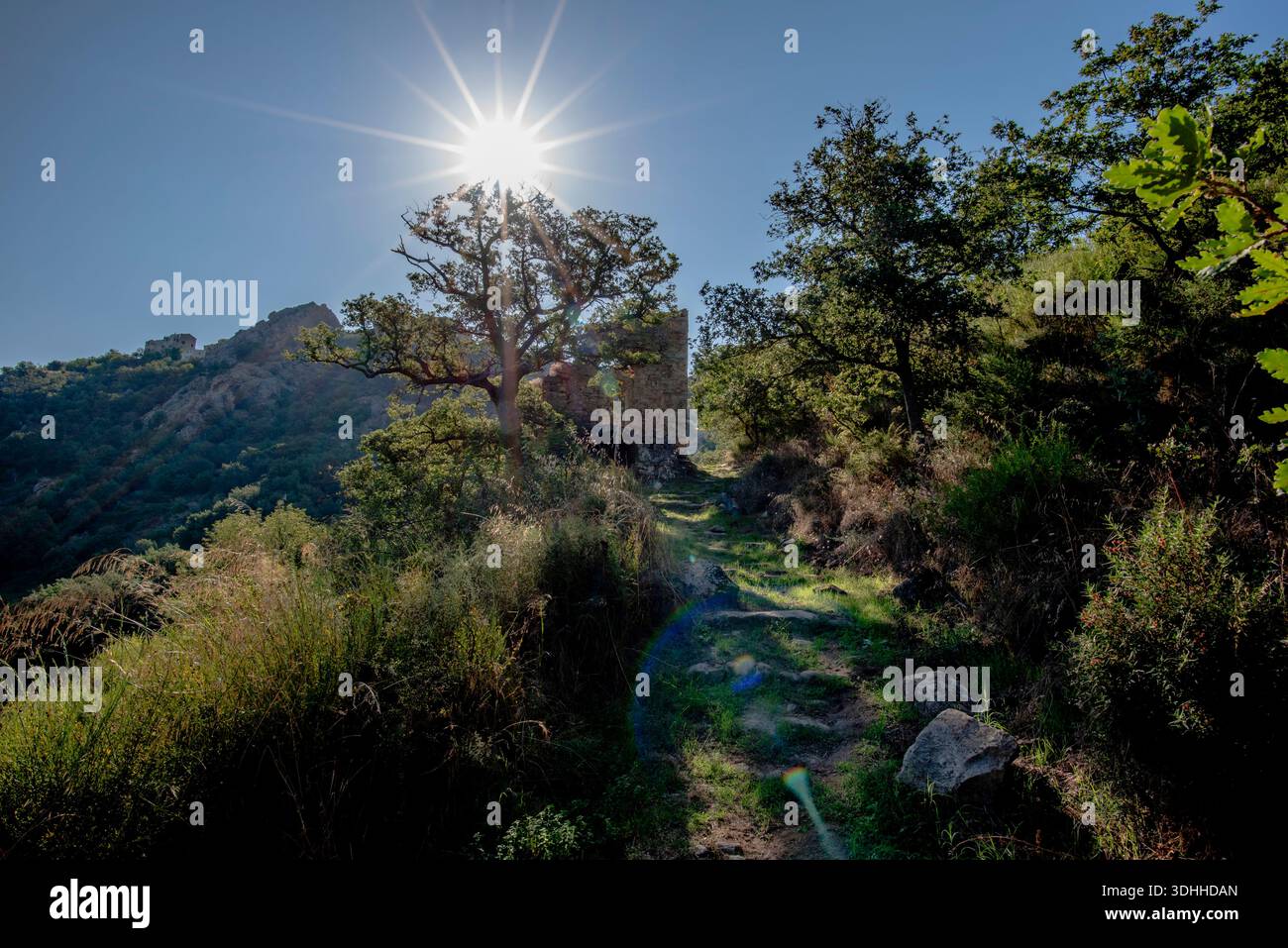 Schmaler Weg, der sich durch mediterrane Vegetation in Richtung einer alten Steinkapelle in den Hügeln in der Nähe von Corte, Korsika, Frankreich, schlängelt. Eine ruhige, ländliche Landschaft Stockfoto