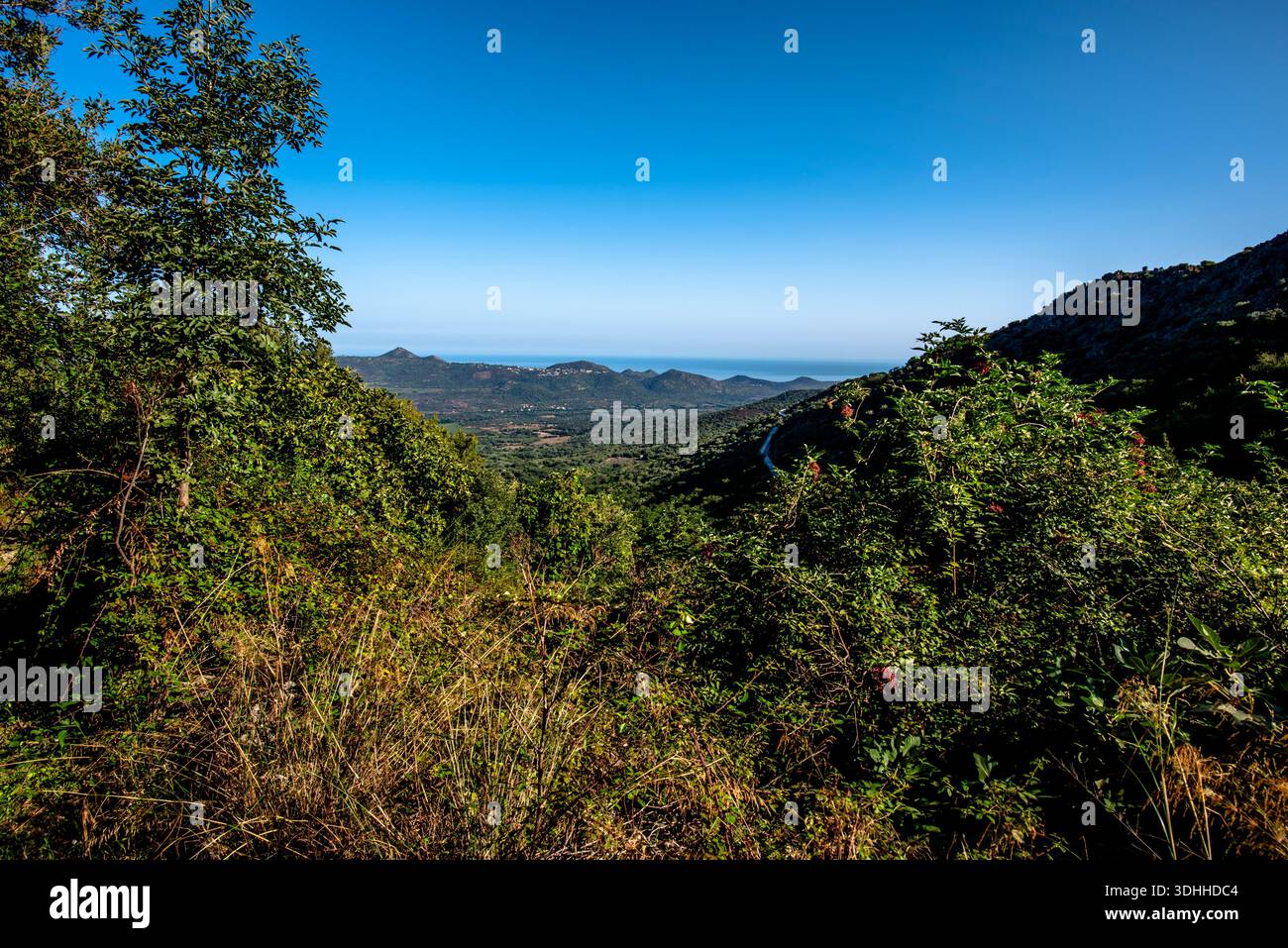 Weite Aussicht über ein grünes mediterranes Tal, das sich zum Meer hin öffnet in Korsika, Corse, Frankreich. Eine natürliche Panoramalandschaft, die Offenheit ausdrückt, balan Stockfoto