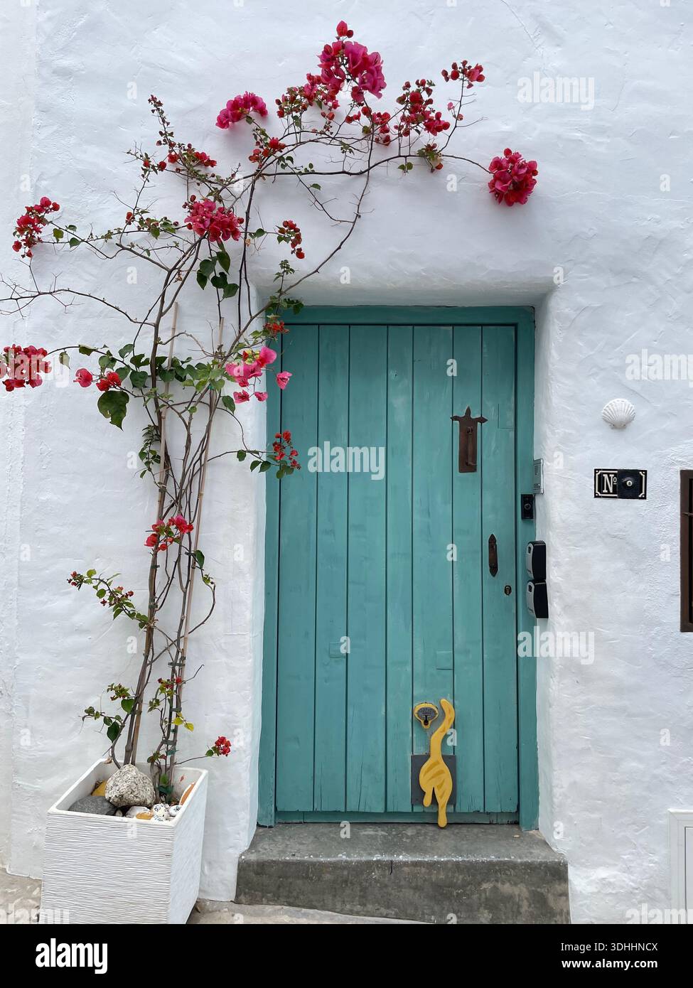 Türkisfarbene Holztür mit rosa Bougainvillea auf weißem mediterranem Haus Stockfoto