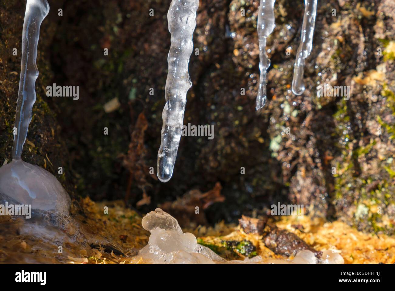 Nahaufnahme gefrorener Eiszapfen mit Wassertropfen in der Sonne Stockfoto