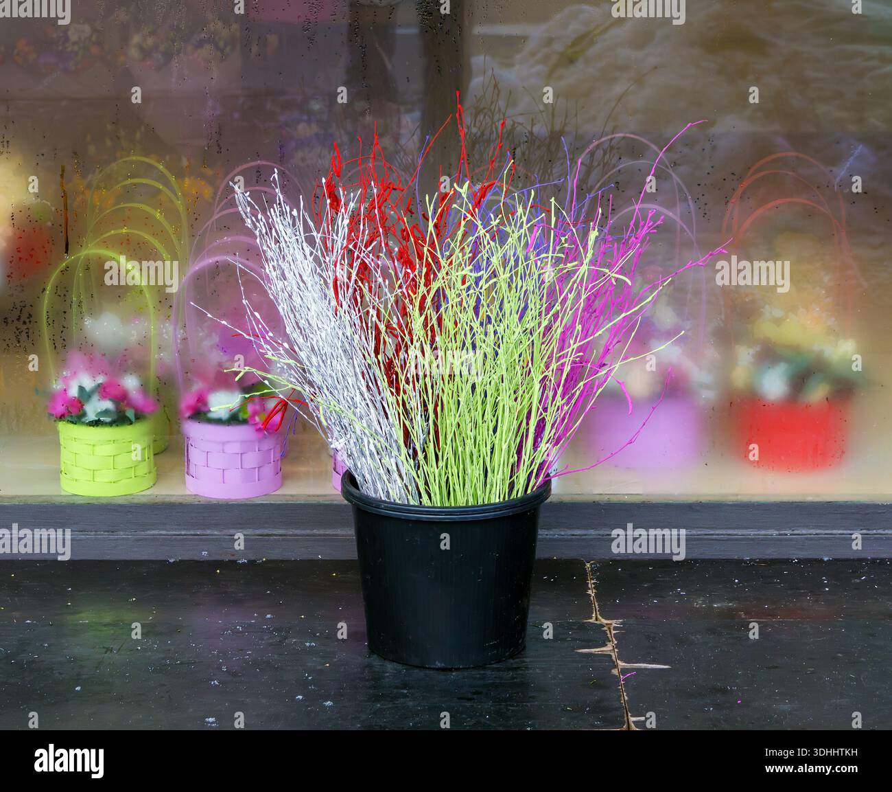 Dekorativer Haufen gefärbter Birkenzweige im schwarzen Topf als Blumenarrangements im Innenraum Stockfoto