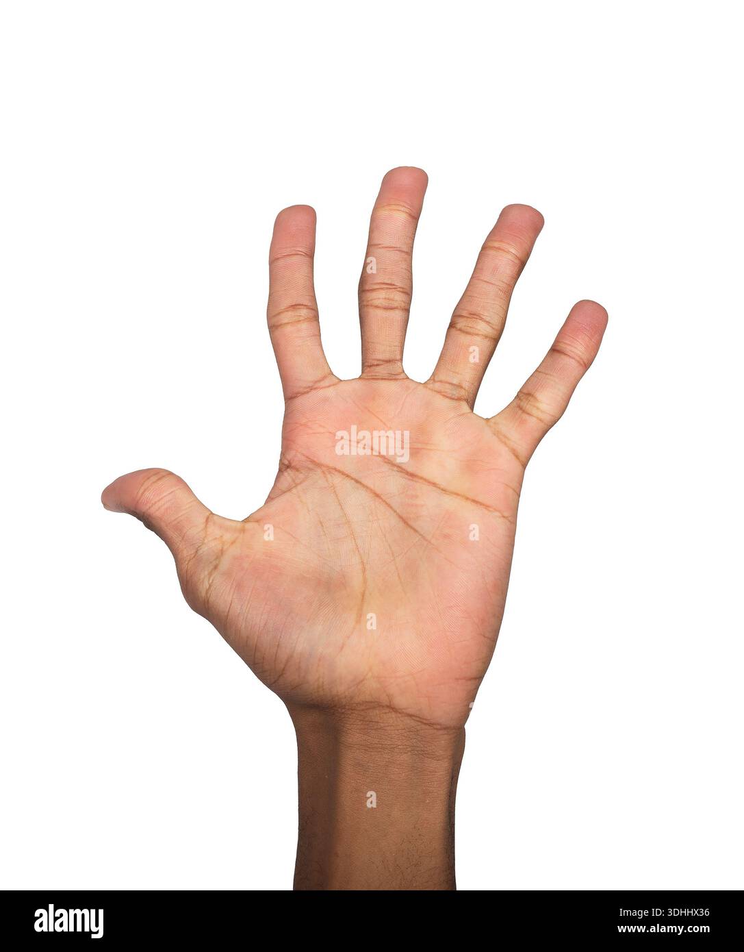 Offene Handhand hochgehoben, Afroamerikaner, der Geste zeigt, mit ausgestreckten Fingern auseinander. Menschliche Körpersprache symbolisiert Begrüßung, Erreichen und Stockfoto